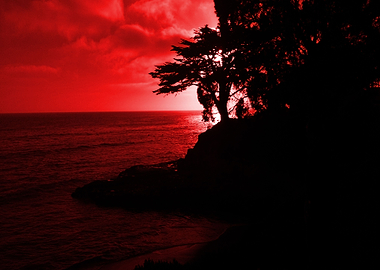 beautiful sunset in red