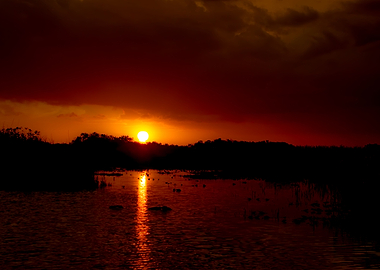 Everglades National Park, Florida.