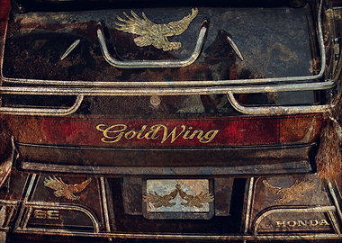 Gold Wing