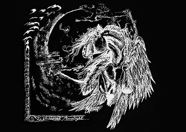 Enchanted moonlight.