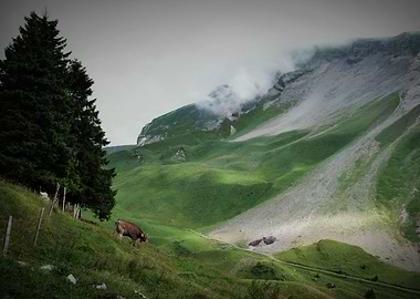 Swiss Alps afternoon.