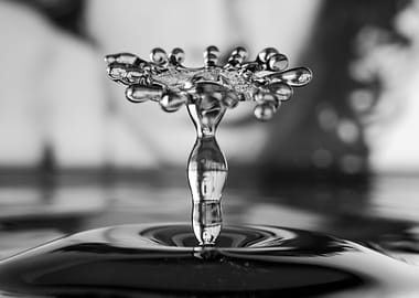 Jim Morisson drop art