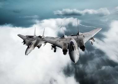 US Navy F-14 Tomcats