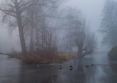 A walk in the park with my dog turned into a beautiful ...