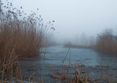 A frozen lake surrounded by a beautiful fog and nice co ...