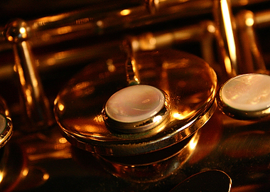 My Saxophone in Detail