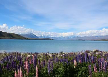 Lake Tekapo - New Zealand Dez/2016