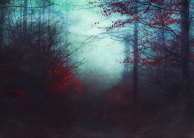Secret Woodland