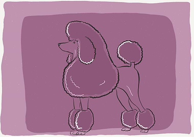 Art of an poodle