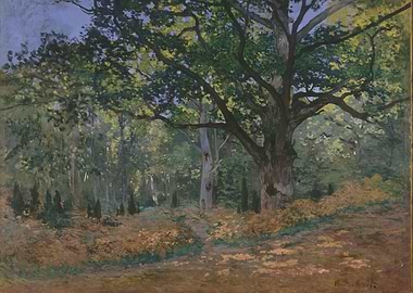 Claude Monet - The Bodmer Oak, Fontainebleau Forest, 18 ...