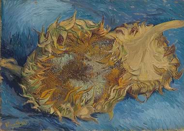 Vincent van Gogh - Sunflowers, 1887, oil on canvas; Col ...