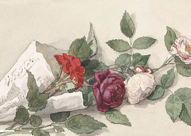 Vintage illustration of flowers