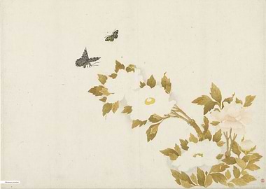 Vintage illustration of flowers