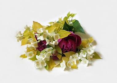 These Mock orange blossoms are from a shrub next to my ...