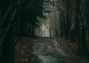 What lies beyond this point? Don't know. I turned aroun ...