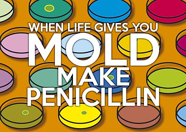 Cool, trendy and fun science inspired wall art designed ...