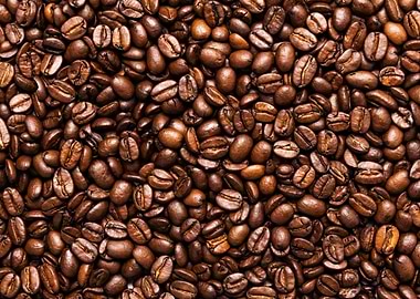 Beautiful Coffee Beans