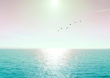 Last sight of the UK shoreline as the ferry and a flock ...