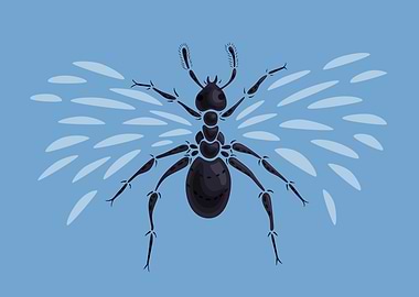 Abstract vector illustration of a flying ant with wings ...