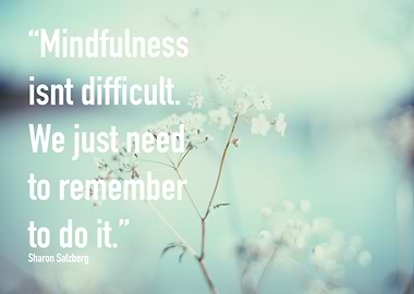 'Mindfulness isn't difficult. We just need to remember ...