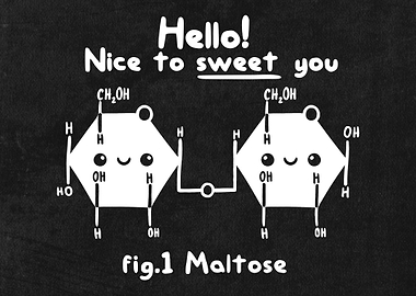 Hello! Nice to sweet you
