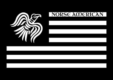 Norse American Raven Banner