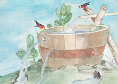 Birds drinking water