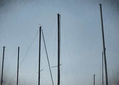 sailboat in the blue sky