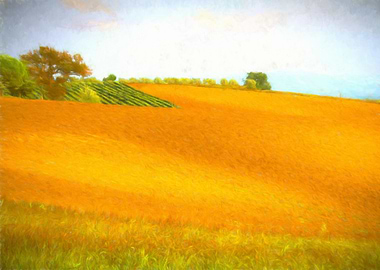 hilly landscape