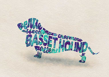 Basset Hound Dog Typo
