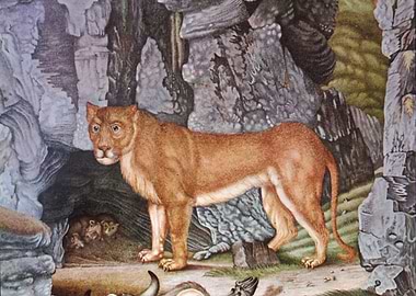 Illustration by Aloys Zoltl