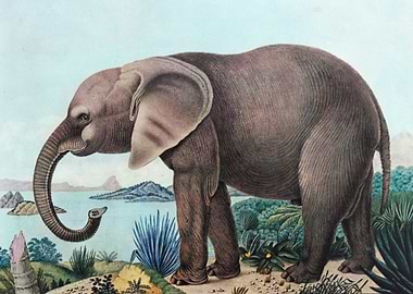 Illustration by Aloys Zoltl