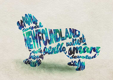Newfoundland Dog Typo