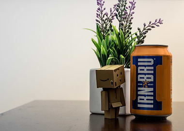 Danbo's Scottish Discovery