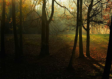 Hampstead in london uk