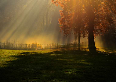 Hampstead Heath London Uk