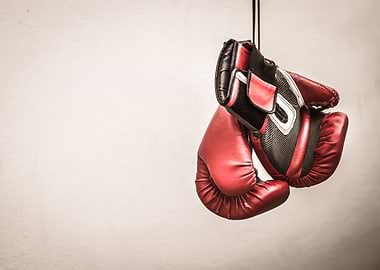 Pair of boxing gloves photograph