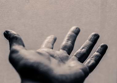 Photograph of an open human hand
