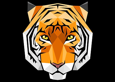 Tiger crystal polygons