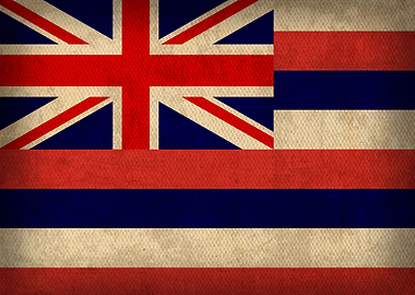 Hawaii State Flag on Distressed Canvas
