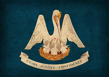 Louisiana State Flag on Distressed Canvas