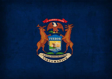 Michigan State Flag on Distressed Canvas