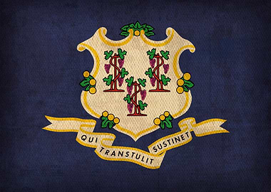 Connecticut State Flag on Distressed Canvas