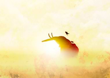 Sunshine on Elephant