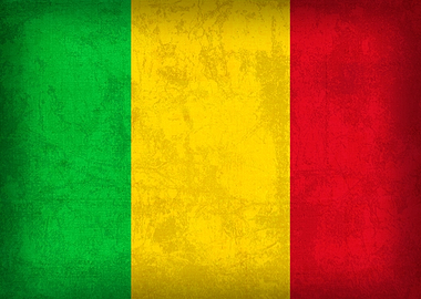 Mali Flag on Distressed Canvas