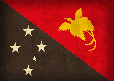 Papua New Guinea Country Flag on Distressed Canvas