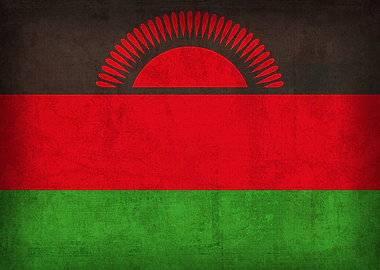 Malawi Flag on Distressed Canvas