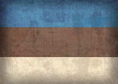Estonia Flag on Distressed Canvas