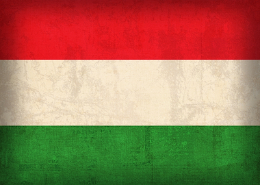 Hungary Flag on Distressed Canvas