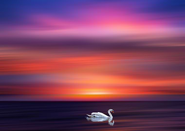 “Everything you can imagine is real.”